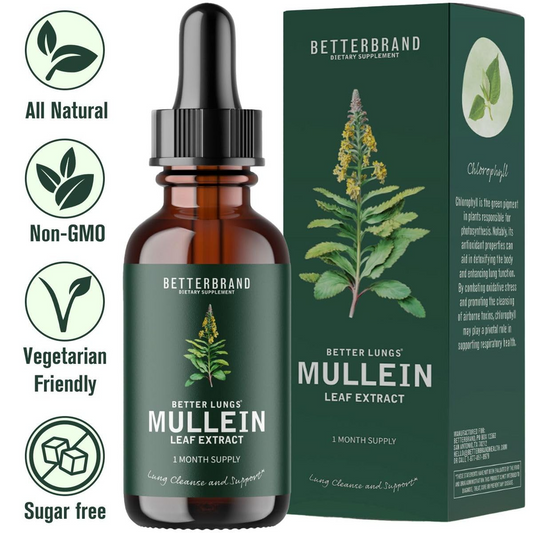 MULLEIN